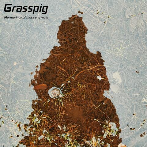 Murmurings of Moss and Mold