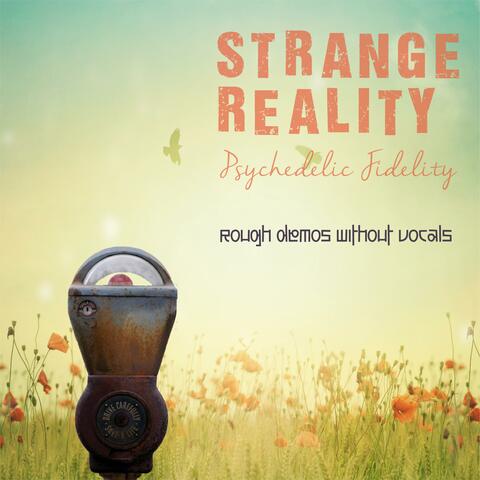 Psychedelic Fidelity (Rough demos without vocals)