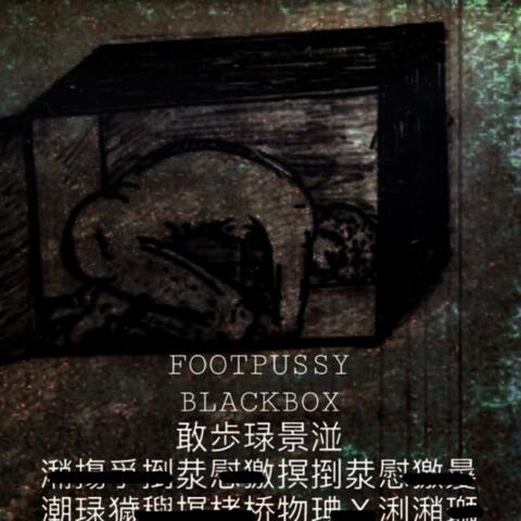 The Black Box