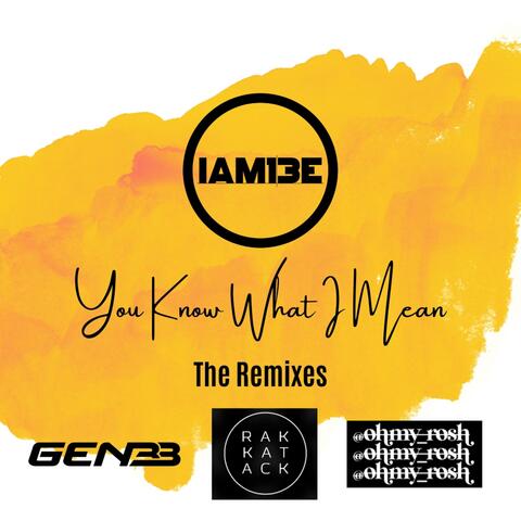 You Know What I Mean (The Remixes)