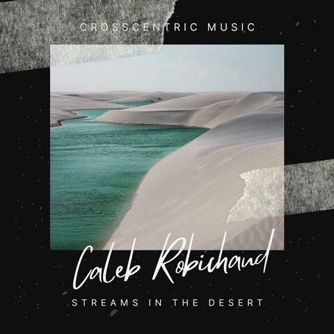 Streams In The Desert