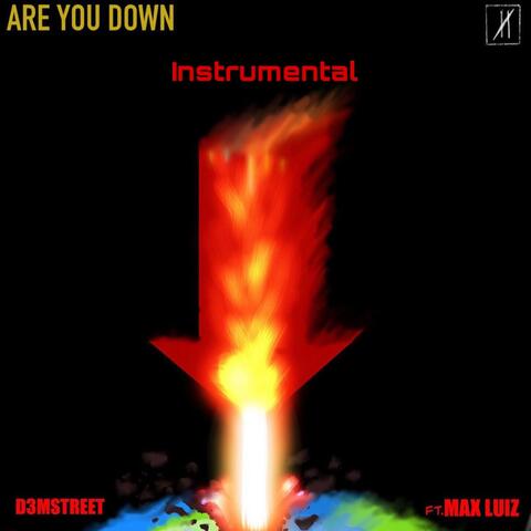 Are You Down (feat. Max Luiz) [Instrumental Version]