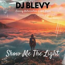 Show Me The Light (feat. Evening Hallucinations & Will Bravo)
