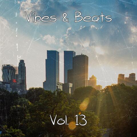 Vibes & Beats, Vol. 13