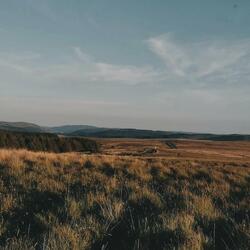 A Tragic Way To Write The Story's End