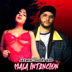 Mala Intención (feat. Shory Knd)
