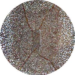 TLWW 1 (feat. Yukes玉刻)