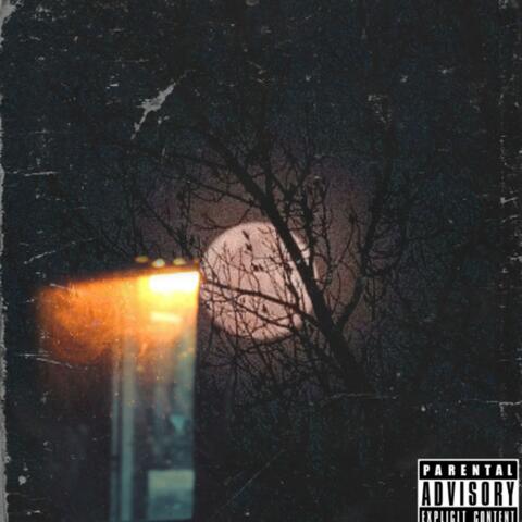 Moonlight