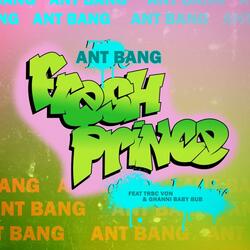 Fresh Prince (feat. Vonstro & Ghannibaby Bub)