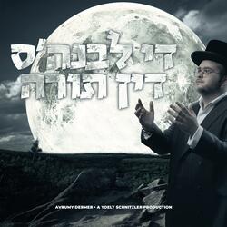 The Levunah's Din Torah (די לבנה'ס דין תורה )