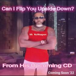 Can I Flip You Upside Down?