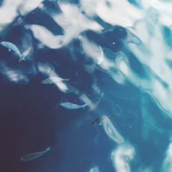 Release (feat. Annita)