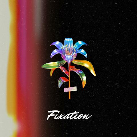Fixation