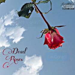 Dead roses