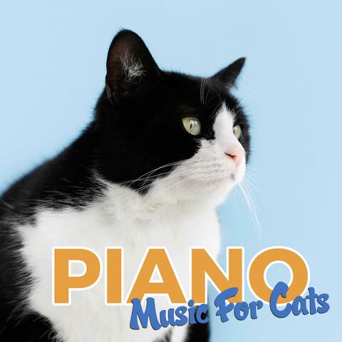 Piano Cat Music