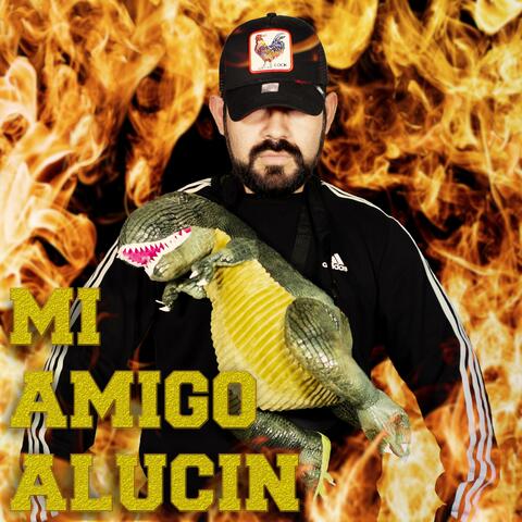 Mi Amigo Alucin