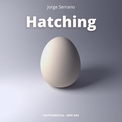 Hatching