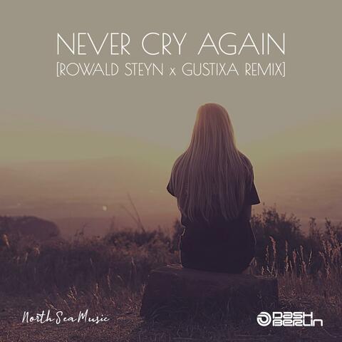 Never Cry Again (Rowald Steyn & Gustixa Remix)