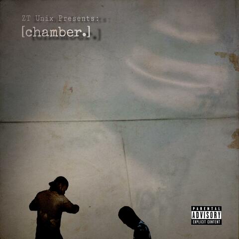 ZT Unix Presents: chamber.