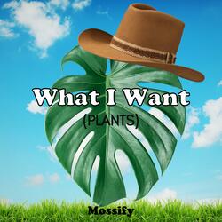 What I Want (PLANTS)