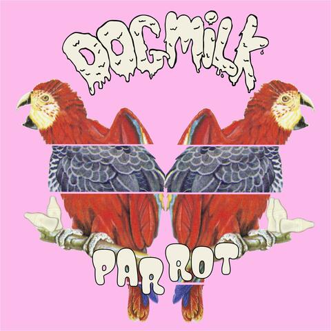 Parrot