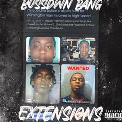 Extensions