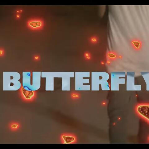 Butterflies