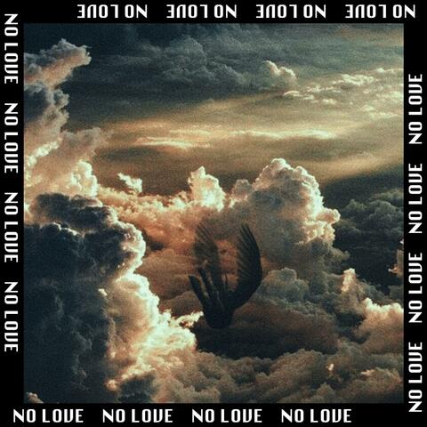 NO LOVE