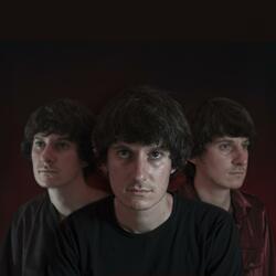 Disco Sapiens