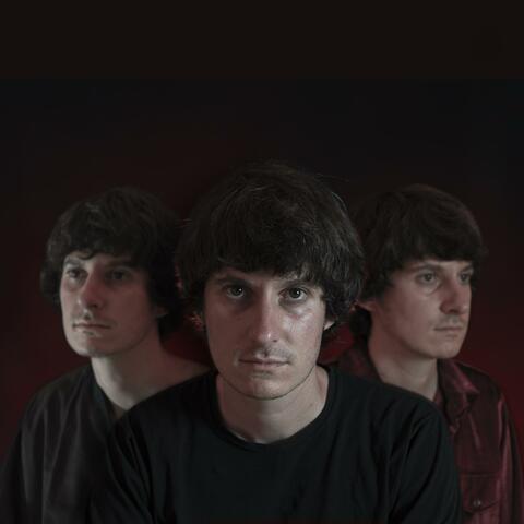 Disco Sapiens (Single Version)