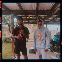 Wings