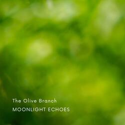The Olive Branch