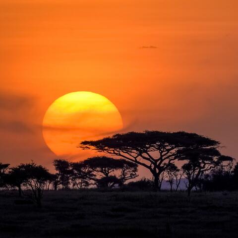 SERENGETI (MOTION PICTURE SOUNDTRACK)