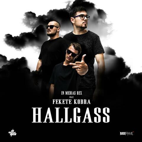 HALLGASS (feat. FEKETE KOBRA)
