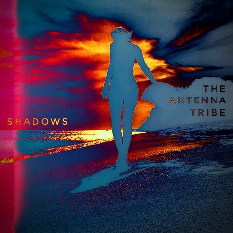 Shadows