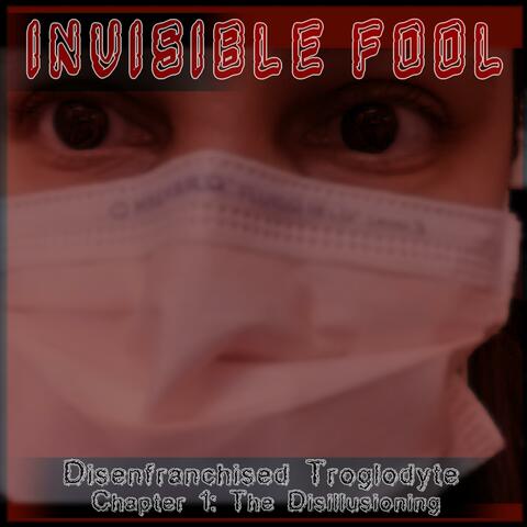 Chapter 1 (The Disillusioning)