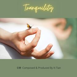 Tranquility (Meditation)