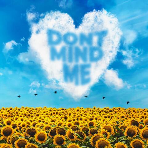 Dont Mind Me