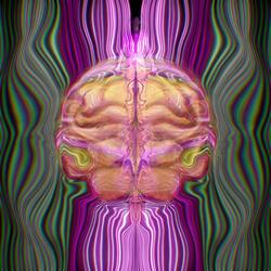 She Wanted to Try Acid