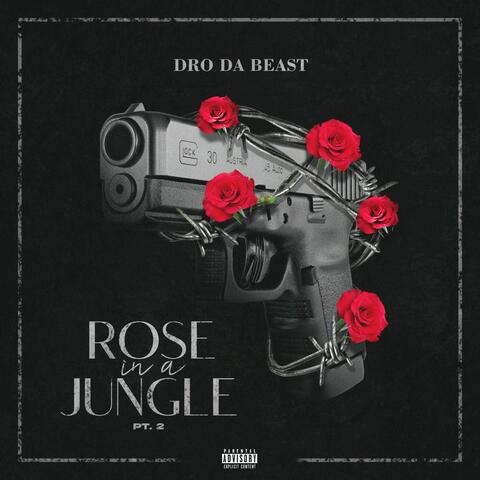 Rose In The Jungle Pt2