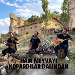 Ham Meyvayı Kopardılar Dalından