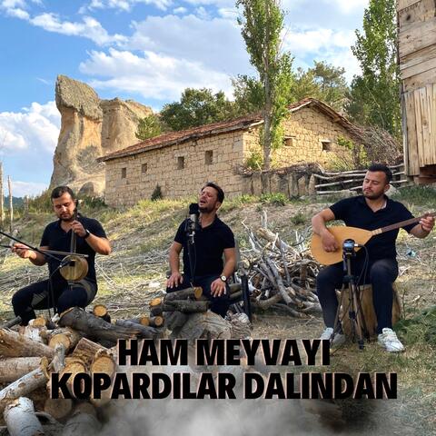 Ham Meyvayı Kopardılar Dalından