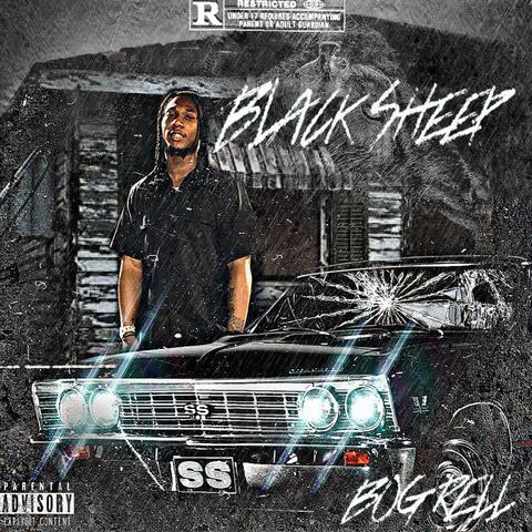 Black Sheep