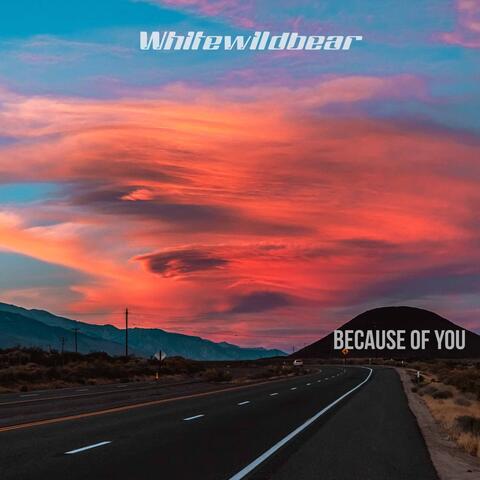 Because Of You