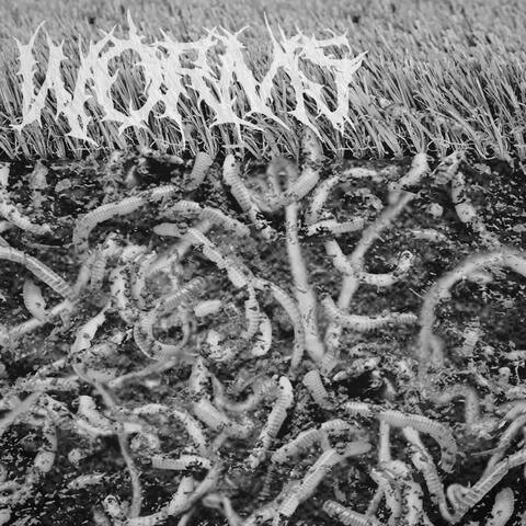 WORMS (feat. Jon Loc)