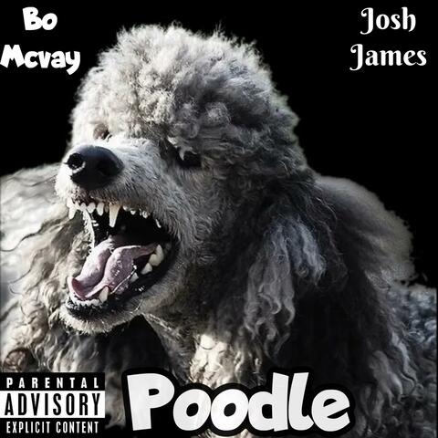 Poodle (feat. Josh-James)