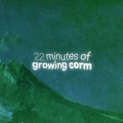 22 minutes of growing corm