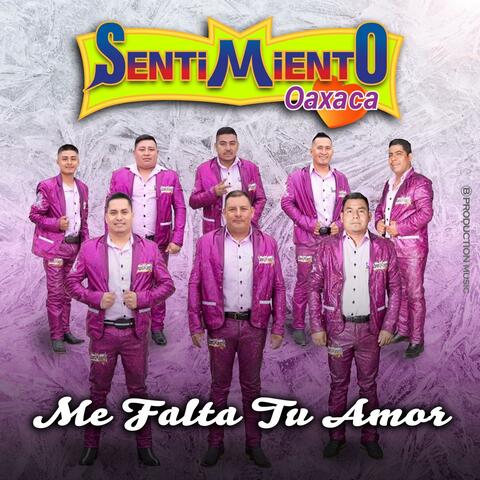 Me Falta Tu Amor