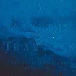 A Curious Traveler