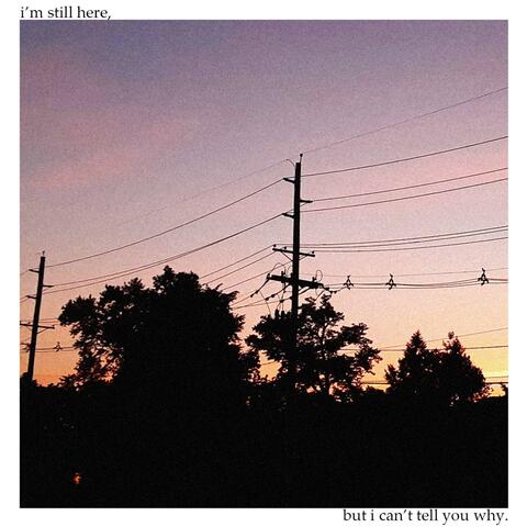 catch the last of summer (demo)